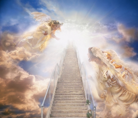 A Neurosurgeon’s Journey Into The Afterlife Heaven